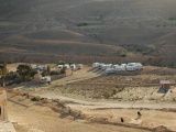Tn  DSC0319